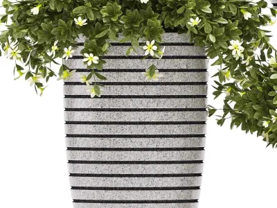 plants set 68 3D model