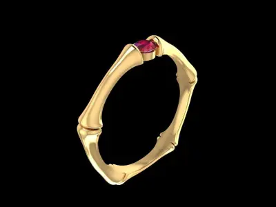 Bone Ring Gens and Ladies 3D print model