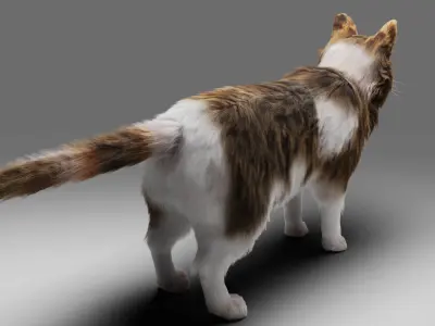 Fur Calico Cat V03 No Rigged Low-poly 3D model