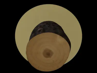 Tree Stump Glass Coffee Table 3D model