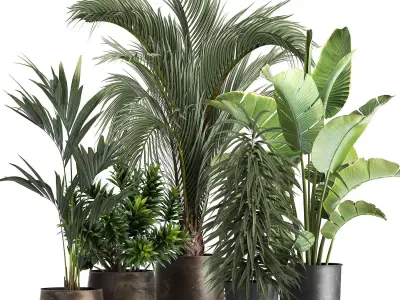 exotic plants in a metal flowerpot for the interior 1110 3D model