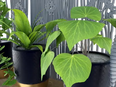 Indoor Plants in rusty Concrete Pot with Macrame  Free 3D model