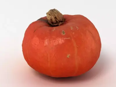 Pumpkin 3D model