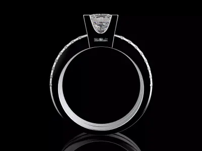 Gold N1603 3D print model