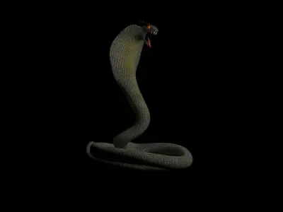 Cobra snake 3D model purchase