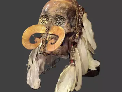 Ancestor Skull 3D model