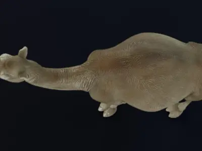 Dromedary Camel Low-poly 3D model