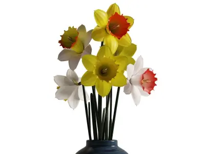 Daffodils in vase 3D model