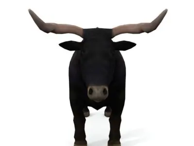 Bull Mammal Low-poly 3D model