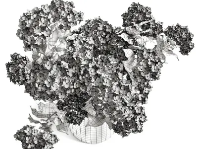 Hydrangea in glass vase 3D model