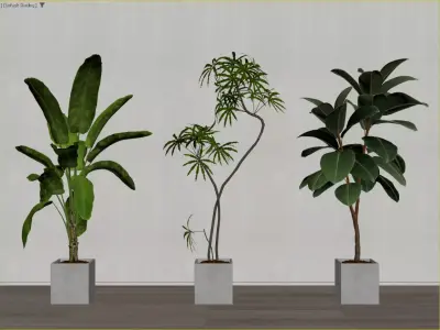 Modern Potted Green Plant Collection 3D Model 3D model