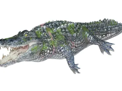 Animated Injured Crocodie Rigged Low-poly 3D model