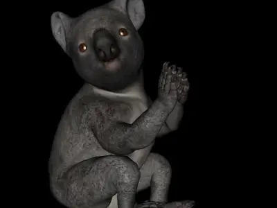 t13-koala koala bear praying 3D model