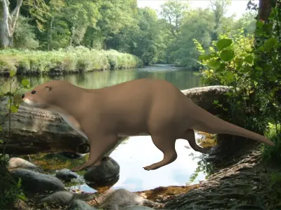 Otter in desert 3D model