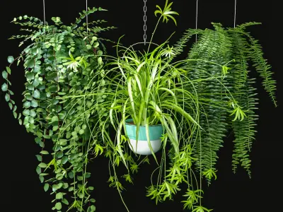 Hanging Plant Pot Set 3D Model Collection
