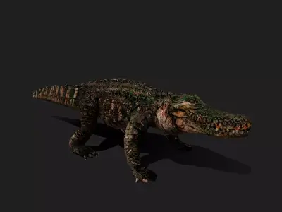 ULTIMATE 3D ANIMAL PACK - 70 percent OFF - All Models Included Low-poly 3D model