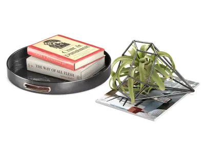 Faux Tillandsia Large Set 3D model