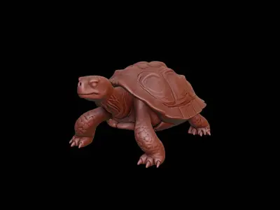 Turtle Animal Sculpture 3D print model purchase