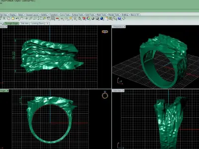 ring rock 3D print model