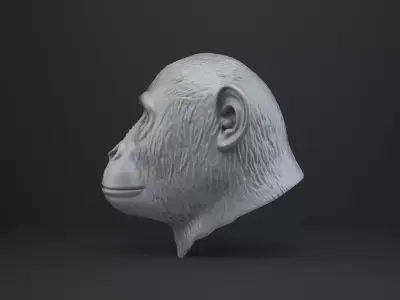 Monkey Bust - Animal Figurine 3D print model