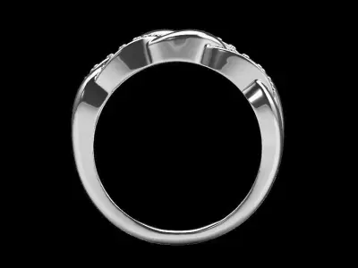 chain ring 3D print model buy