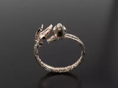 Bird Ring 3D print model