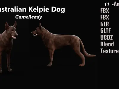 Australian Kelpie Dog 3D model