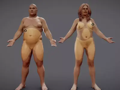 Male Vs Female Fat Distribution Low-poly 3D model