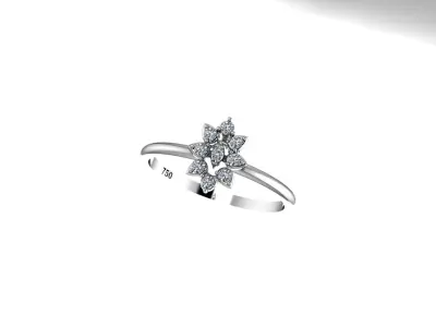 Shine Ring 3D print model