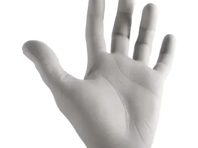 Figurine hand 3D model