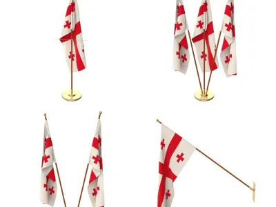 Georgia Flag Pack 3D model