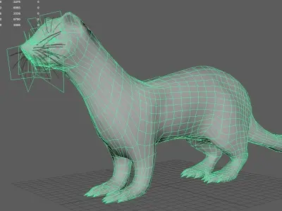 Dark sable ferret Low-poly 3D model