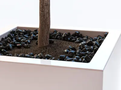 Green tree in white bowl 3D model