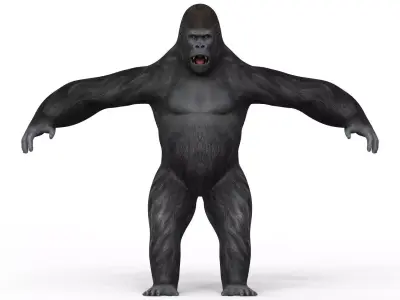 Gorilla With PBR Textures Low-poly 3D model