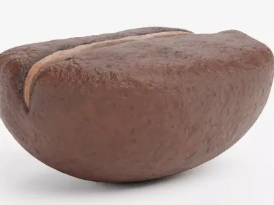 -Coffee Bean- 3D model