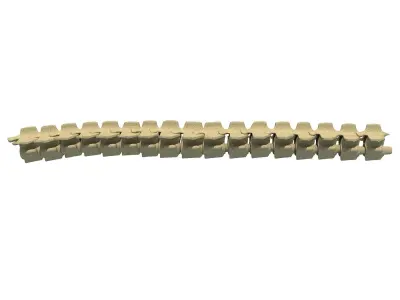 Mammal Spinal Bones  3D model