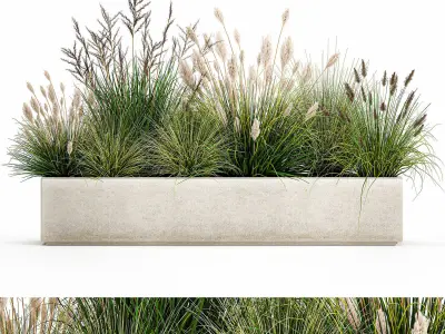 Potted reeds for landscaping 1076 3D model