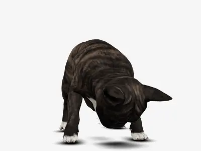 Dog French Bulldog Low-poly 3D model