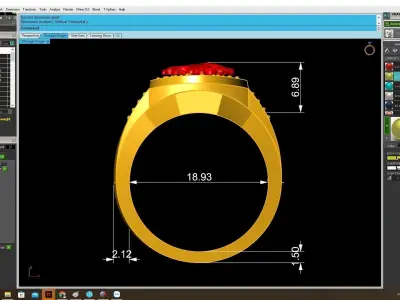 Luxury Lion Head Signet Ring 3D Model 4069 3D print model