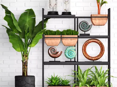 Decorative Set potted plants on shelf 3D model