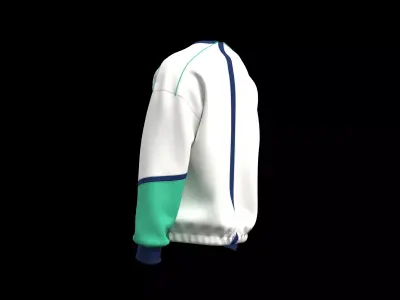 Mens sport sweatshirt with elastic and graphic 3D model