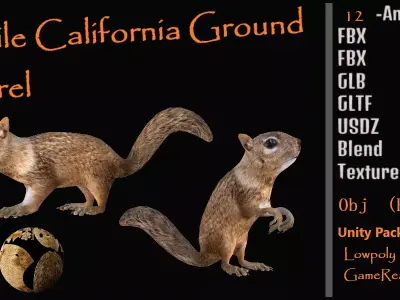 Juvenile California Ground Squirrel Low-poly 3D model