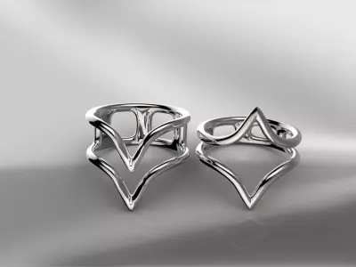 Two lightweight rings  3D print model