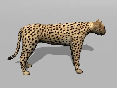 cheetah Low-poly 3D model