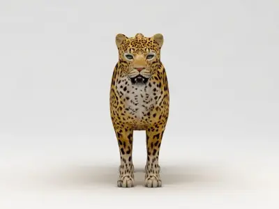 Leopard 3D model shop