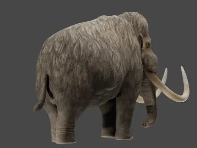 Wooly Mammoth  3D model