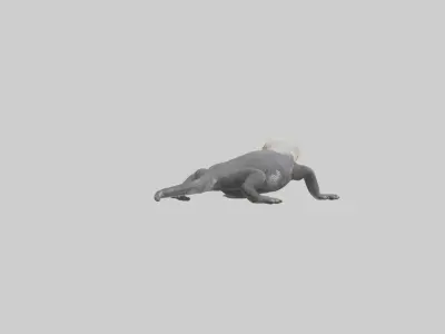 Lace Monitor resting model Low-poly 3D model
