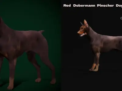 Dobermann Pinscher Dog Breed  3D model
