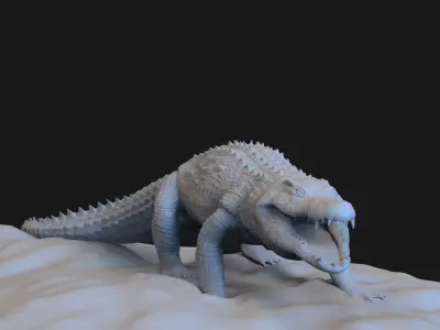 Crocodile 3D model