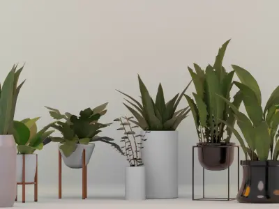 Plants For Decoration Low-poly 3D model